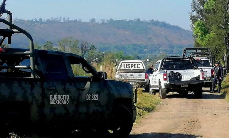 Inseguridad, Michoacán