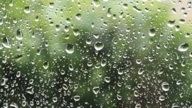 Lluvias Morelia