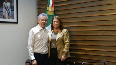 Fabiola Alanís, Morena