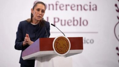 elección judicial, CNTE