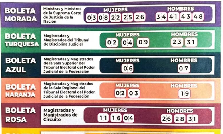 elección judicial