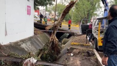 jornada de limpieza, Morelia