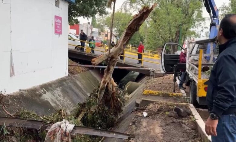 jornada de limpieza, Morelia