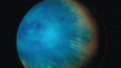 TOI-1452 b, Vida extraterrestre