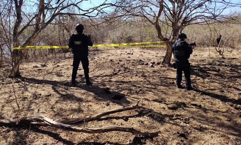 Zamora, SSP
