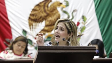 Brissa Arroyo, PRD