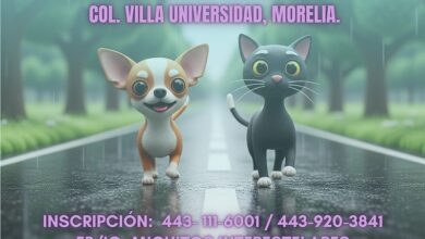 Feria de Adopción, Morelia