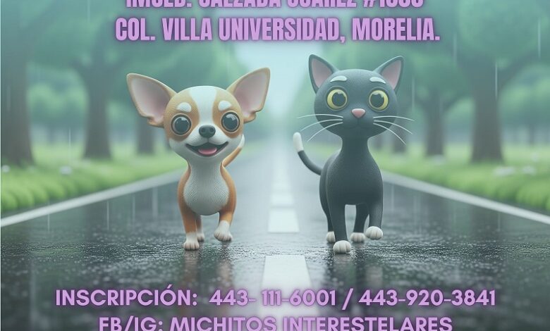 Feria de Adopción, Morelia
