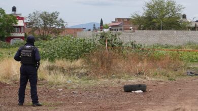 Zamora, SSP