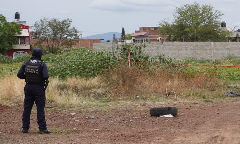 Zamora, SSP