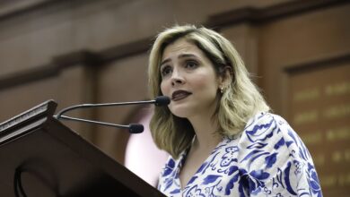 Brissa Arroyo, PRD