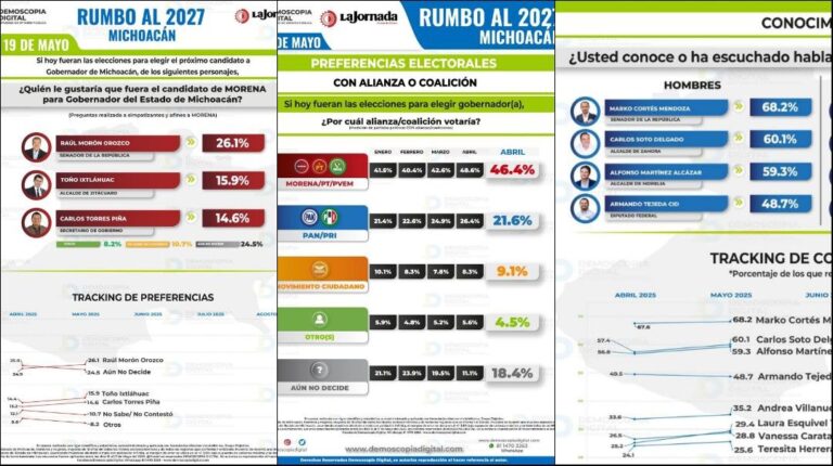 Los Suspirantes, Demoscopia Digital