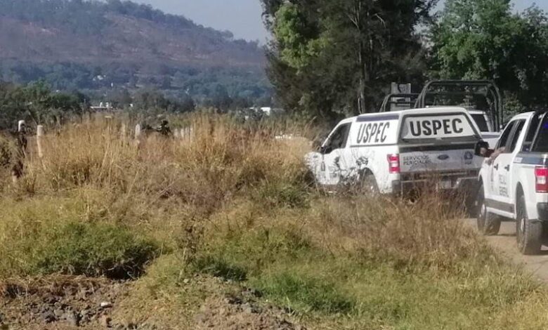 Zamora, USPEC