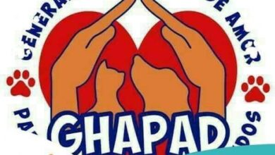 Ghapad