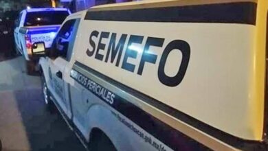 Semefo
