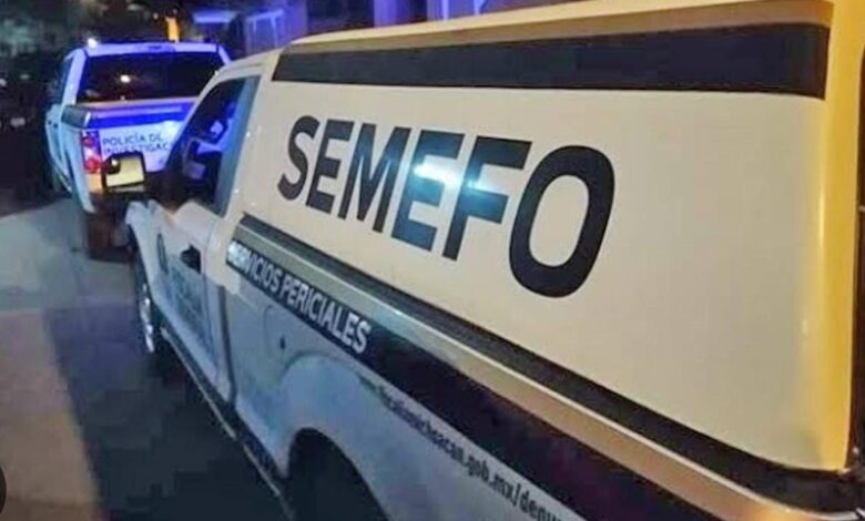 Semefo