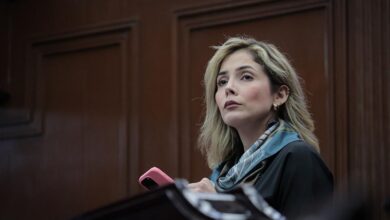 Brissa Arroyo, PRD