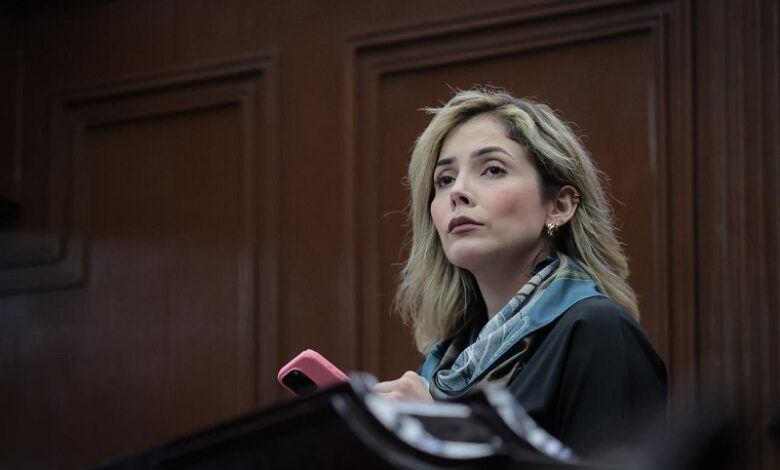 Brissa Arroyo, PRD