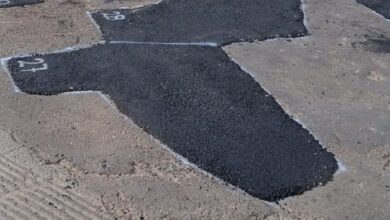 Morelia, Obras