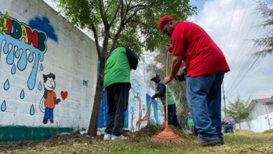 Jornada de limpieza, Morelia