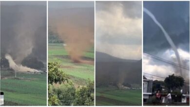 Tornado, Salvador Escalante