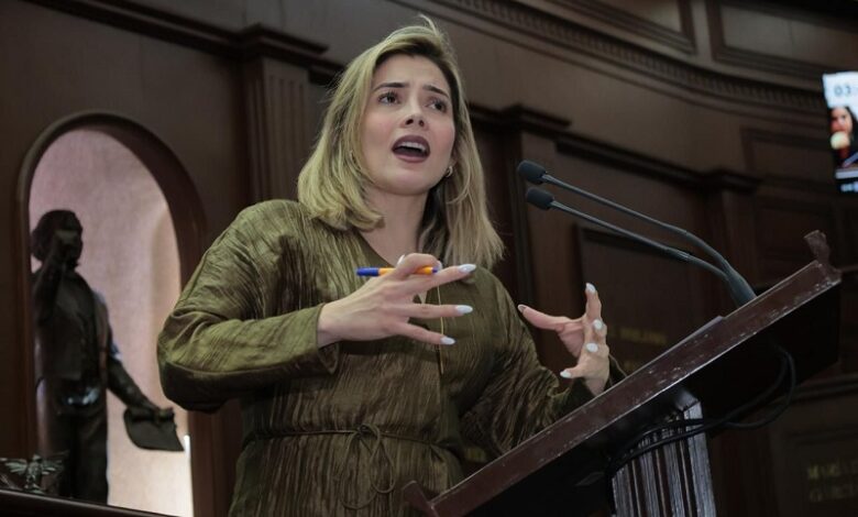 Brissa Arroyo, PRD