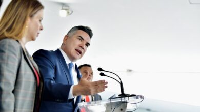 Alejandro Moreno, PRI