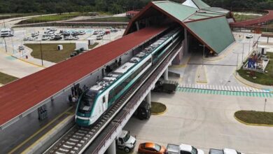 Tren Maya, daños ambientales