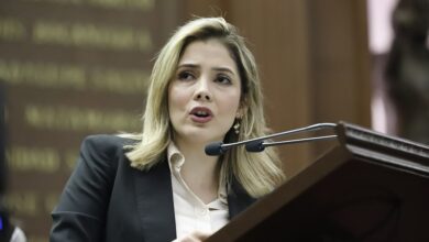 Brissa Arroyo, PRD