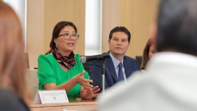 Alfonso Martínez, Illinois, Karina Villa