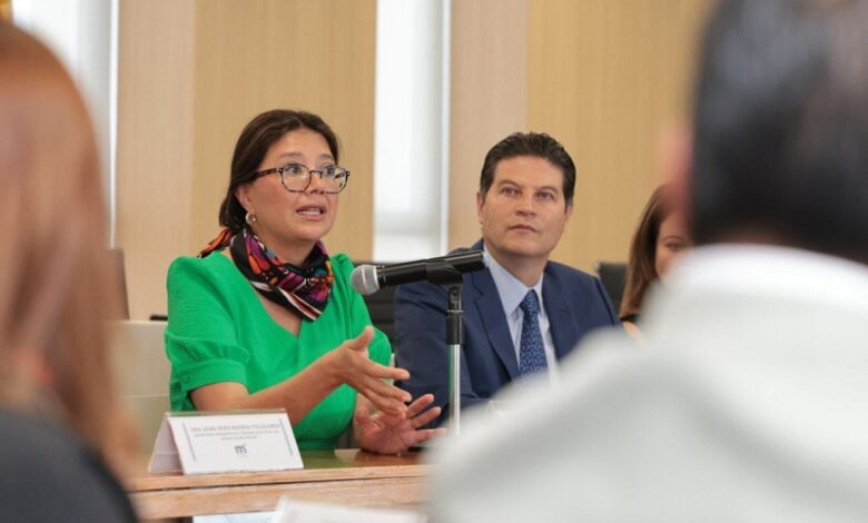 Alfonso Martínez, Illinois, Karina Villa
