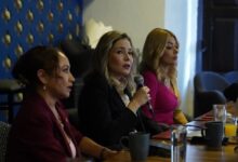 Brissa Arroyo Martínez
