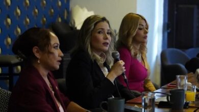 Brissa Arroyo Martínez
