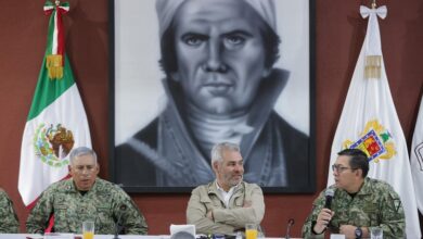 Gobierno de Michoacán, Martha Laura Mendoza