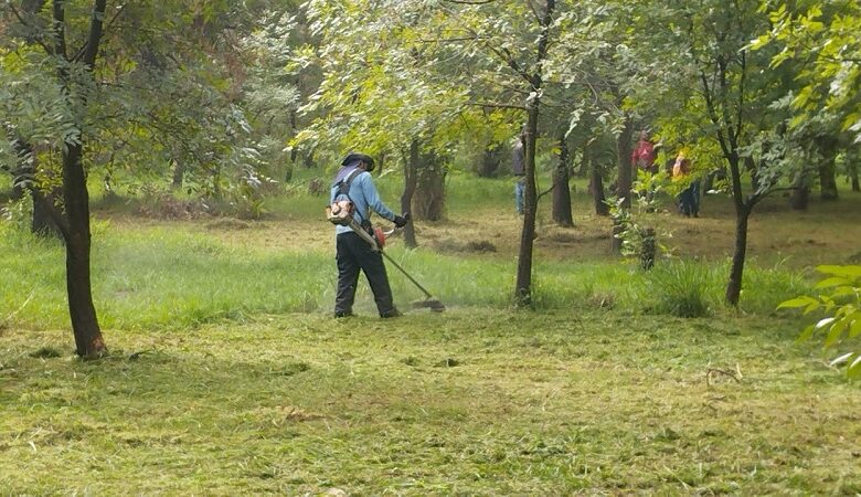 Arboretum Morelia