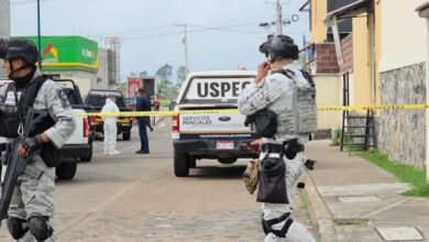 Inseguridad, Michoacán