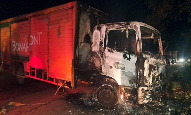 Michoacán, SSP, Fuego