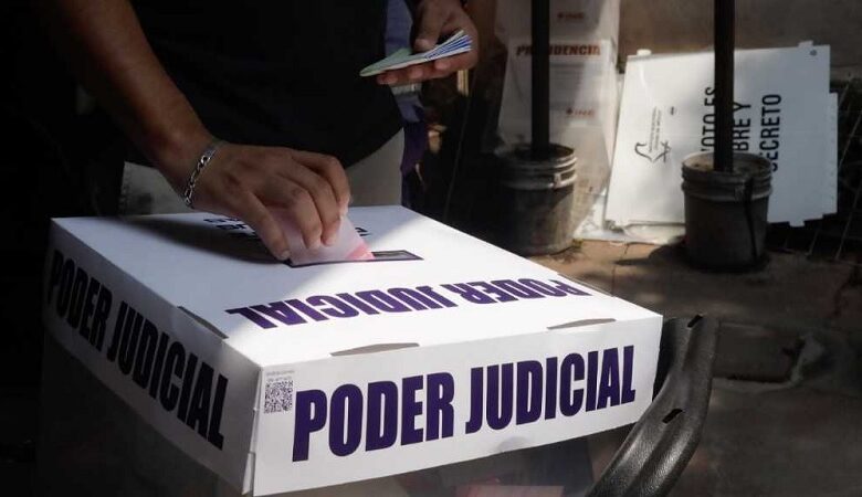 ONG, elección judicial
