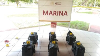 Lázaro Cárdenas, Michoacán, Droga