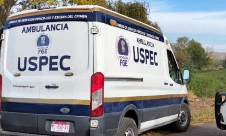 Buenavista, Michoacán, FGE