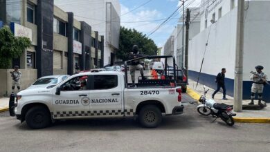 Michoacán, FGR