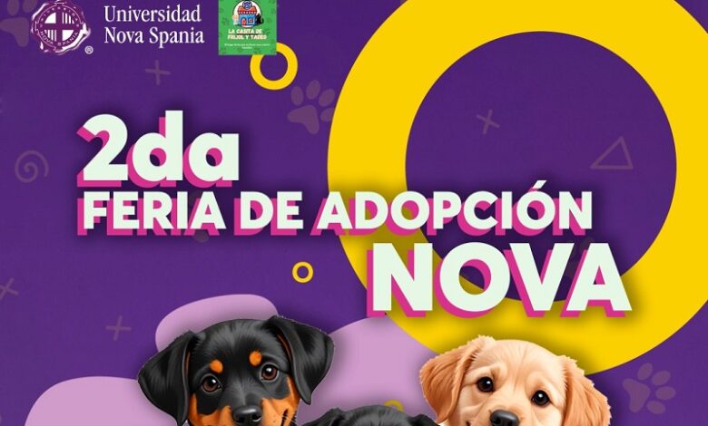 feria de adopción, Morelia