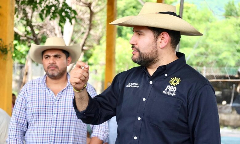 PRD Michoacán
