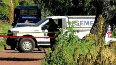 Semefo