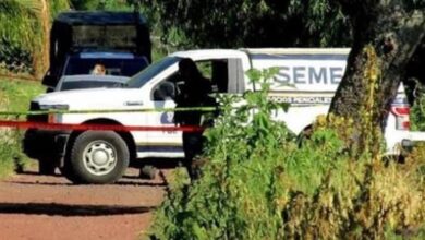 Semefo
