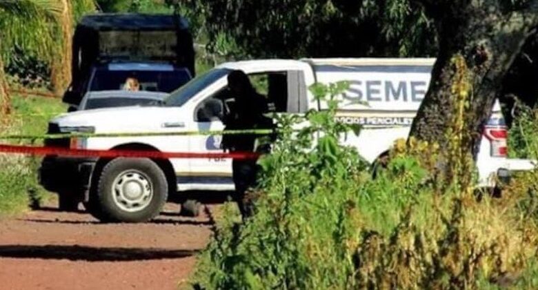 Semefo