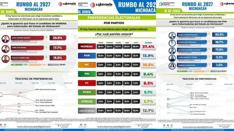 Los Suspirantes, Demoscopia Digital