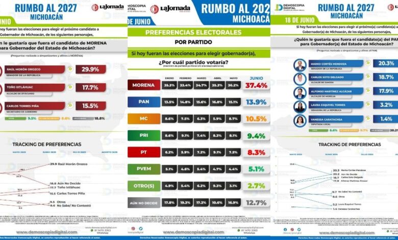 Los Suspirantes, Demoscopia Digital