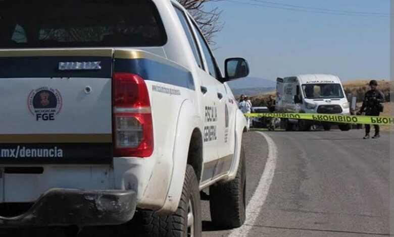 Michoacán, Violencia