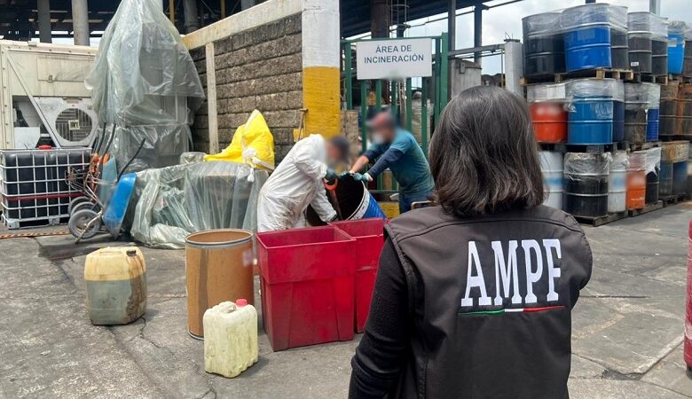 Michoacán, Droga, FGR
